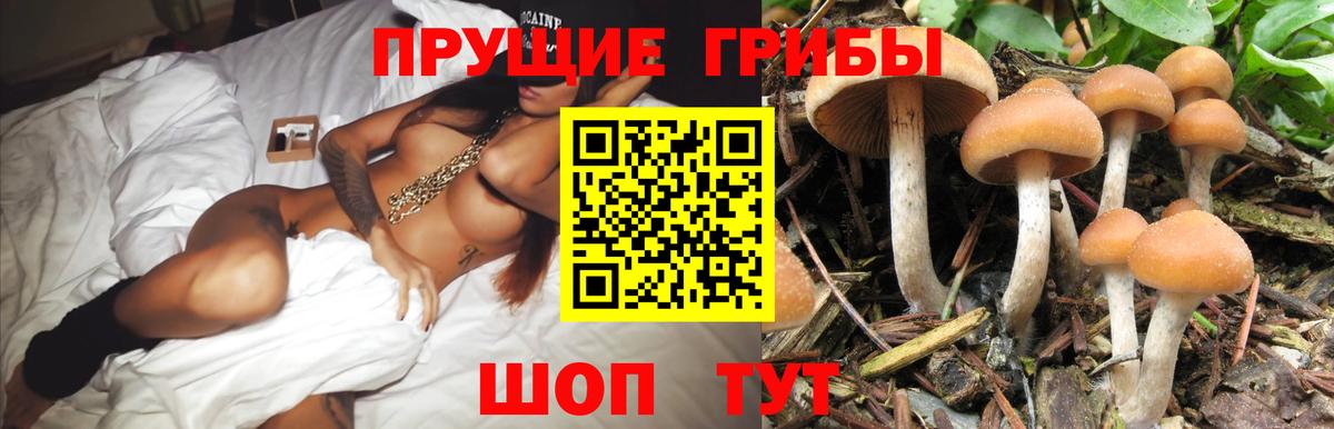 Галлюциногенные грибы мухоморы  Псилоцибиновые грибы GOLDEN TEACHER  Томск  Вход с VPN 